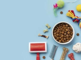 flat-lay-toys-with-food-bowl-fur-brush-dogs